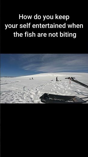 snowdog track sled ice fishing