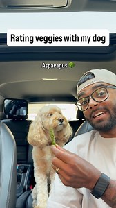 108K views · 11K reactions | She kept it real  #dogs #puppylove #minicockapoo | Luna The Mini Cockapoo | Facebook