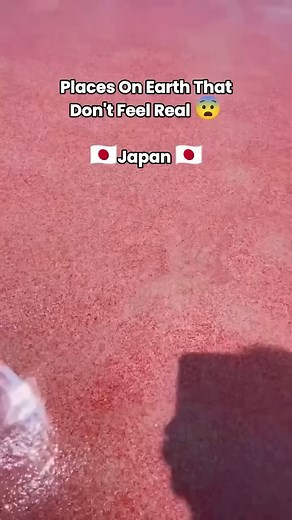 ❄️ Japan’s Most Magical Spots — Plan Your Day Trip Now! 🇯🇵 Some places look almost unreal — but the experience is even more breathtaking in person: • Jigokudani Snow Monkey Park – watch wild snow monkeys relax in hot springs 🐒 • Hitachi Seaside Park – endless fields of flowers that change with the seasons 🌸 • Mt. Fuji & Lake Kawaguchi – iconic mountain views, perfect for photos and nature walks 🗻 ✨ Private tours available with luxury car & English-speaking guide 📩 Book your unforgettable d