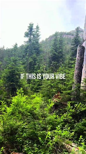 Exploring Nature and Hiking Adventures