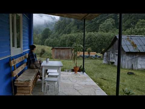 Rain All Day in the Mountains — Crispy Potato Pancakes on a Wood Stove | Silent Vlog