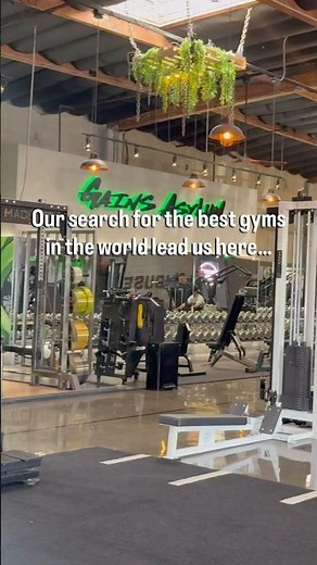 Is This Gym the Best in the World!? Mad House Gains Asylum