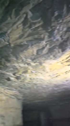 Jenn Saucier-Berninger on Reels