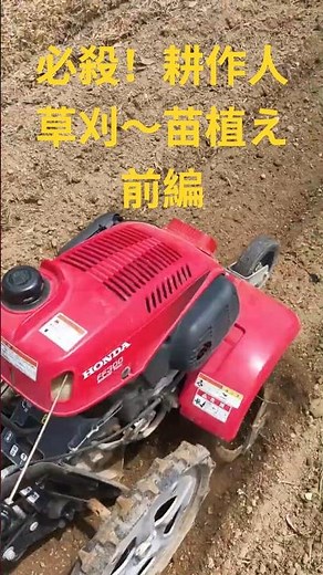 必殺耕作人 草刈→土作り→苗植え編 🧑‍🌾畑 菜園 野菜 ホンダ FF300 GX31 GX25 刈払機 UMK425 UMK431 耕運機 #必殺 #農業 Триммер Brush cutter