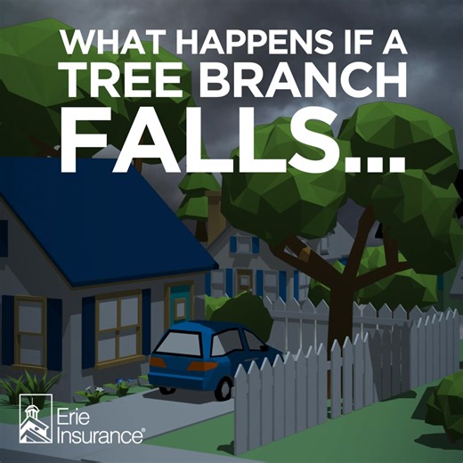 Trees can be tricky. It’s possible for you to be held responsible for damage to your neighbor’s house or property. Learn more about what happens if your tree falls on your neighbor's property here: https://www.erieinsurance.com/blog/neighbors-tree-falls-in Worried about a tree on your property, give us a call at (814) 774-0272 or email at team@prattinsuranceagency.com . | Pratt Insurance Agency, LLC