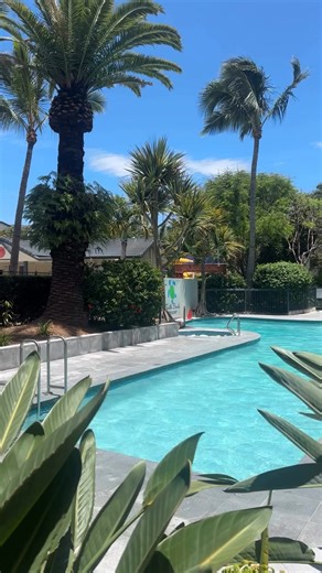6.4K views · 43 reactions | Summer vibes coming in strong by our lap pool ☀️✨ | Turtle Beach Resort | Facebook