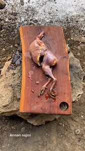 Arman Najmi | ‎گوشت کبک سوخاری Fried chukar meat #آشپزی#کبک#طبیعت#شکار#شکارکبک #chukar#hunting#cooking#steak #chef#chicken#cheflife‎ | Instagram