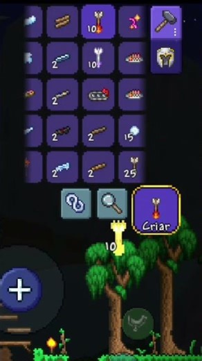 Tips for beginners in terrarium (part 1)