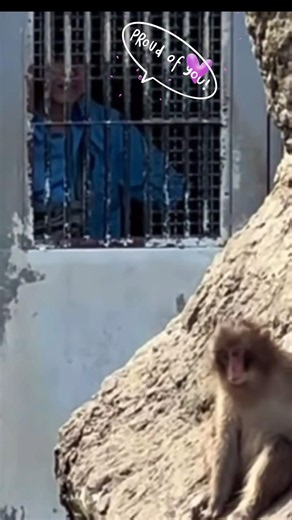 Miyakoshi Papa watching Punch from inside the gate,with that gentle smile Like a Dad at Kindergarten