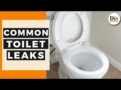 How To Find My Toilet Leak | Common Toilet Leaks | DIY Toilet Repair