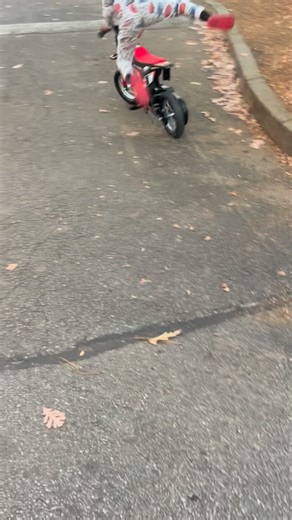 DogAxx Tee on Instagram: "Merry Christmas 🤣😭😭‼️"