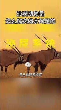 沙漠極度缺水，動物靠什麼獲取水源？#shorts | #紀錄片 #有趣 #涨知识 #動物 #知識 #生物