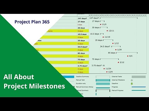 All about Project Milestones