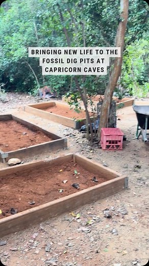 22 reactions | New dirt, new discoveries! 領✨ We’ve given our fossil...