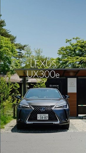 LEXUS UX300e