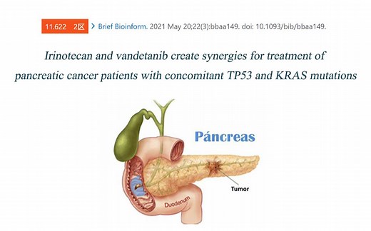 双靶向药物协同控制TP53和KRAS突变胰腺癌