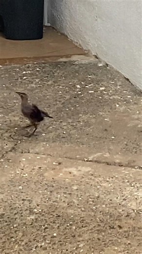 #decameron#baru#naturaleza #playa#colombia