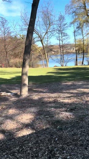 Riding on the Milwaukee County Zoo Train #train #railtrack