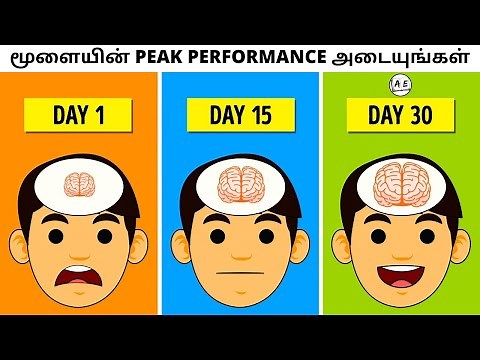 How to Increase Focus and Brain Power (Tamil) | 3 Steps to Become a Genius | almost everything