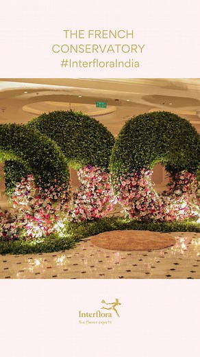 Interflora India on Instagram: "Welcome, to our French Conservatory 🤍 Let’s walk you through it. It’s all things magical in an unseen color palette, with overflowing florals and a whole lot of love! @interfloraindia @abhinavbhagatevents #InterfloraIndia #InterfloraReels #ReelsCreator #ReelKaroFeelKaro #FeelKaroReelKaro #ReelsIndia #LuxuryReel #FloralReel #DIYReel #MakeFlowersBloom #ReelsVideo #FlowerVideo #HowToReel #HowToVideo #ReelItFeelIt #FeelItReelIt #TrendingReels #ViralReels #ReelsTrendi