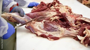 production of natural meat in a modern workshop. high quality meat products. meat production.