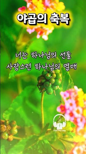 [1분찬양] 야곱의 축복 | 하나님이 주신 가장 귀한 축복 🤍 #찬양 #ccm #축복송 #찬송가
