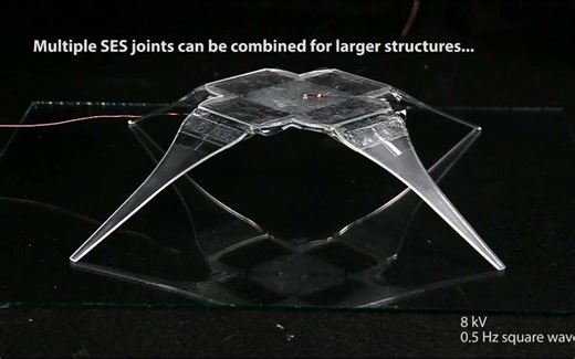 蜘蛛启发的电液软驱动关节｜2021【马克斯普朗克智能系统研究所】