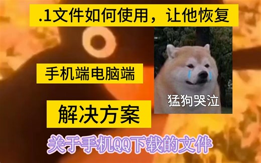 QQ下载的.1文件该如何使用，电脑端，手机端全解