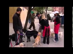 The Apprentice: Best of Season 5