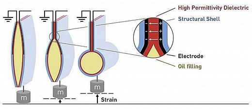 Soft artificial muscles developed for robot motion