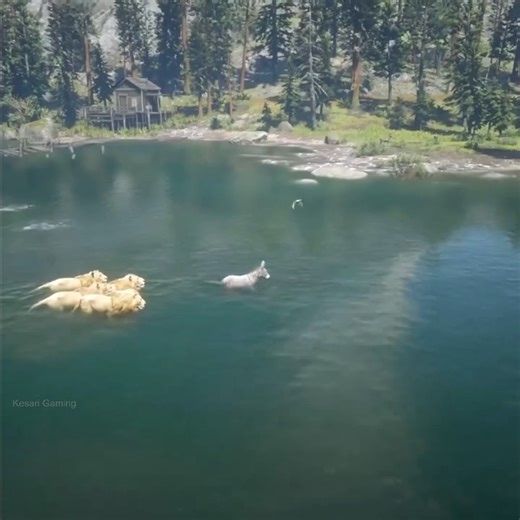 1.2K views | Donkey impossible escape from lions | Kesari Gaming | Facebook