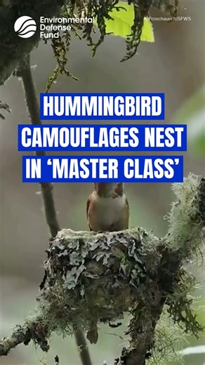 66K views · 469 reactions |  Nothing says springtime like the...