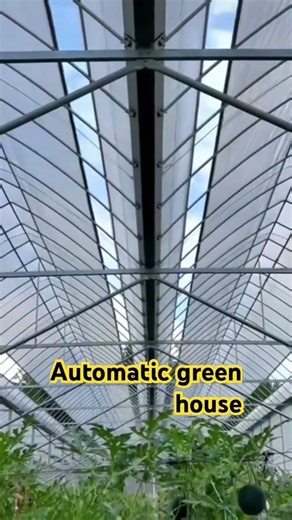 Fully automatic gothic polyhouse in Europe