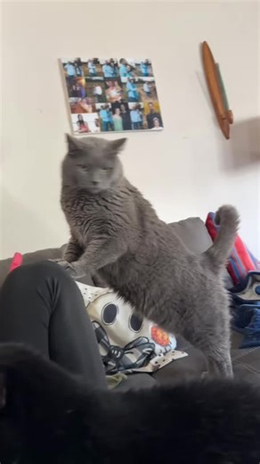 he was too busy having his nose in some coke and drowing in alcohol still messing around with his ex anyways🤷🏻‍♀️ but