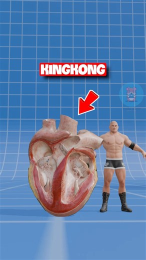 TIM CỦA BLOOP VS SEA EATER | 😨 #fact #amazingfact #thaukinhdongvat