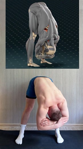 Lower Back Tightness? Rotate Left & Right to Stretch Deep Back Muscles