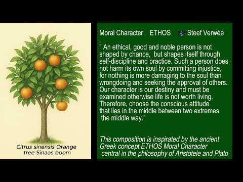 ETHOS — The Shape of Character | Steef Verwée Official