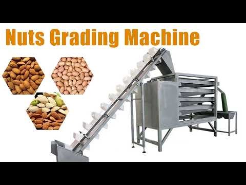 Nuts Grading Machine | 2–5 Level Nut Sorting Machine Up to 1800kg/h
