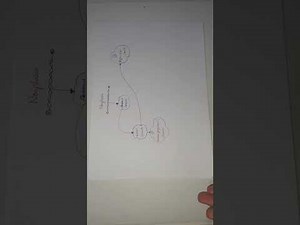 Neoplasia - Definition and Classification Of Neoplasia