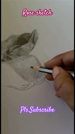 Rose Sketching 🌹#sketch #rosesketch #drawing
