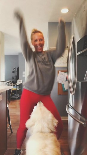 Dog Crotch Sniffing Behavior Explained