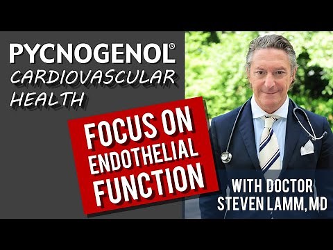 Pycnogenol® Shown To Improve Endothelial Function And Reduce Oxidative Stress