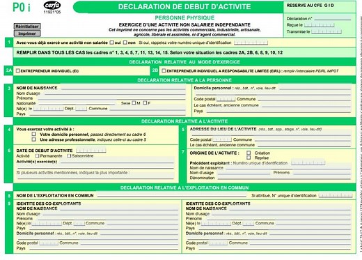 Formulaire P0i : Guide Complet pour Déclarer Votre LMNP