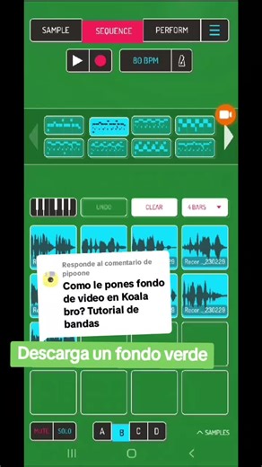 Cómo Poner Videos de Fondo en Koala Sampler