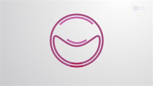 ビデオ: 原核生物のDNA複製