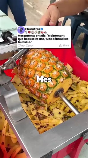 #creatorsearchinsights2026 #serie