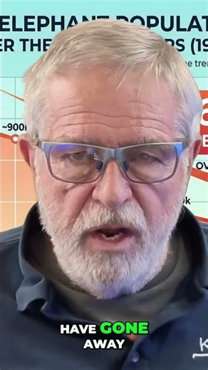 Elephants Disappearing Faster Than Ever Before #animalfacts #extinction