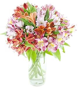 DELIVERY by Fri, 02/09 Guaranteed IF Order Placed by 02/08 Before 2PM EST.KaBloom Valentine's Get Well Flowers with 100 Peruvian Lilies in Bloom - With Vase