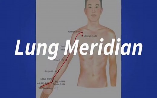 Calling all acupuncture students & practitioners! This quick video gives you a solid refresher on the Lung meridian—in under 2 minutes! 🌬️ 👉 The Lung’s role in Qi, immunity, and grief 👉 Quick walkthrough of the meridian pathway 👉 Must-know acupuncture points for clinic and boards Perfect for brushing up on theory or staying sharp in practice. 🎯 📌 Looking for TCM Lung Treatment Protocols? Check out my instant download PDF! https://acupro-academy.mykajabi.com/tcm-treatments-for-lung-disorder
