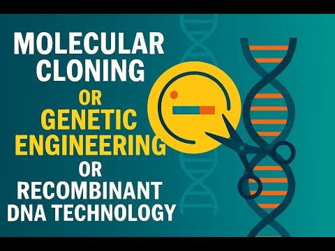 Molecular Cloning, Genetic Engineering & Recombinant DNA Tech. | Full Beginner to Expert Tutorial